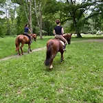 Le Moulin Bleu Bed & Breakfast 3*