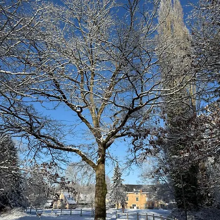 Le Moulin Bleu Saint Cyr-sous-Dourdan