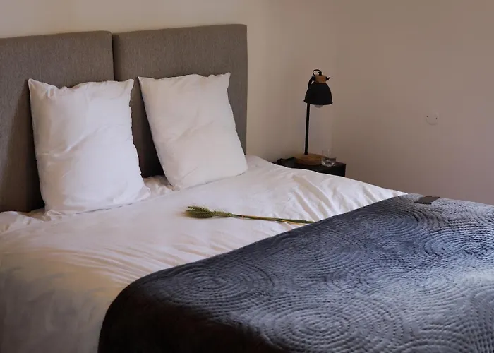 Le Moulin Bleu Saint Cyr-sous-Dourdan